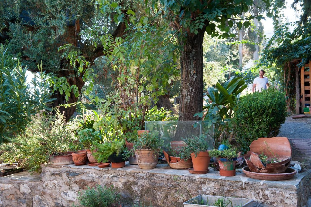 Studios Kyparissi & Spa Tirós Extérieur photo